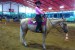 monika_mistrovstvi_-_iveta_s_choco_horsemanship_ii_original